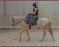 1AMAZONE- 0105